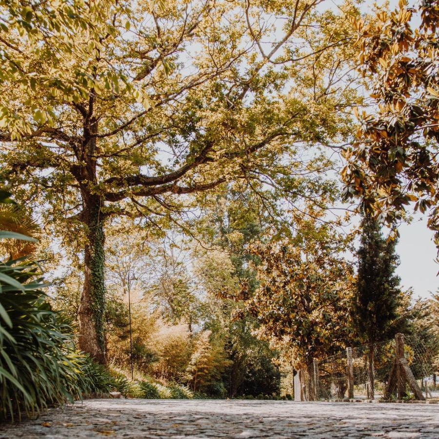 בית הארחה פנאפיל 	Quinta Do Padrao מראה חיצוני תמונה